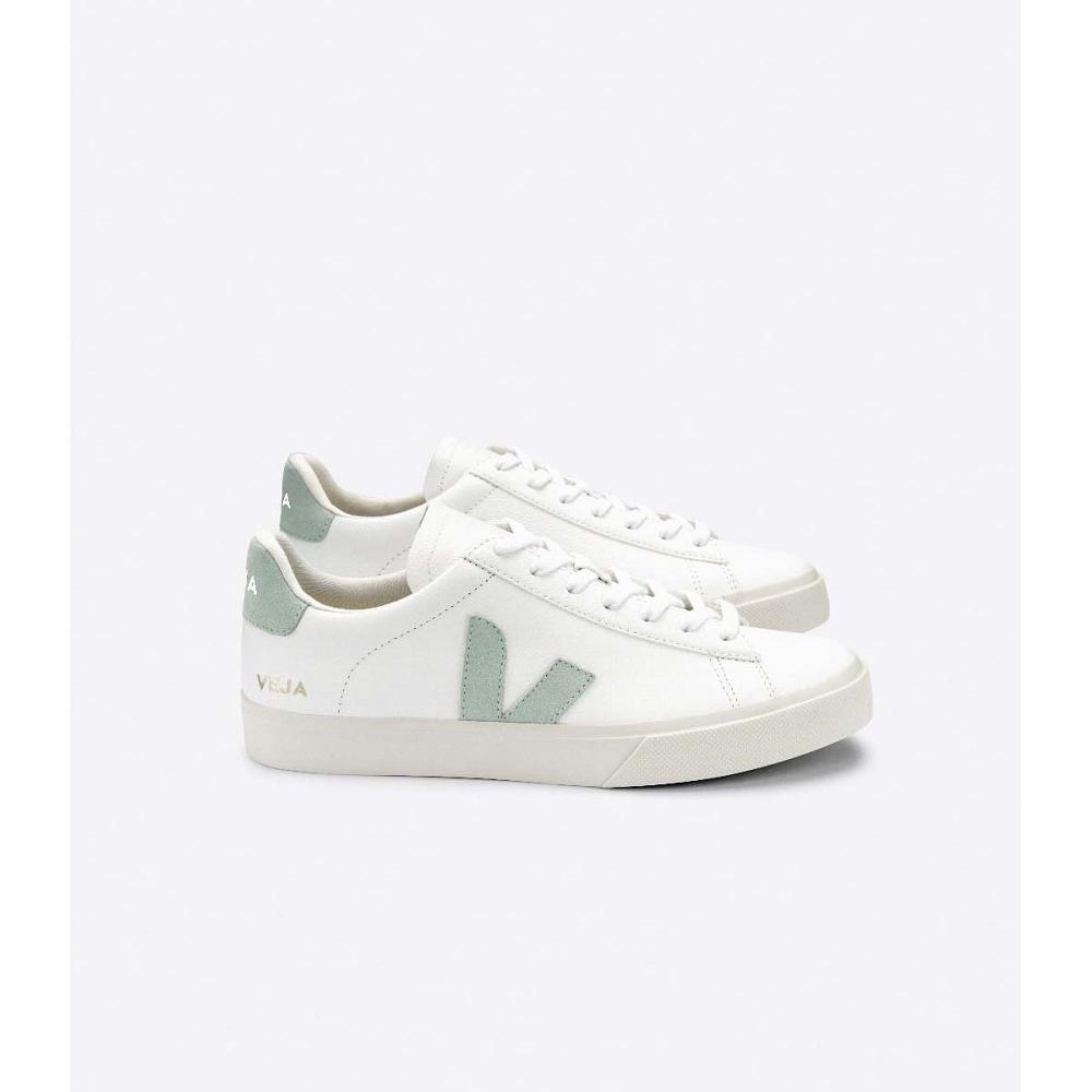 Veja CAMPO CHROMEFREE Men\'s Low Tops Sneakers White/Green | NZ 196NWY